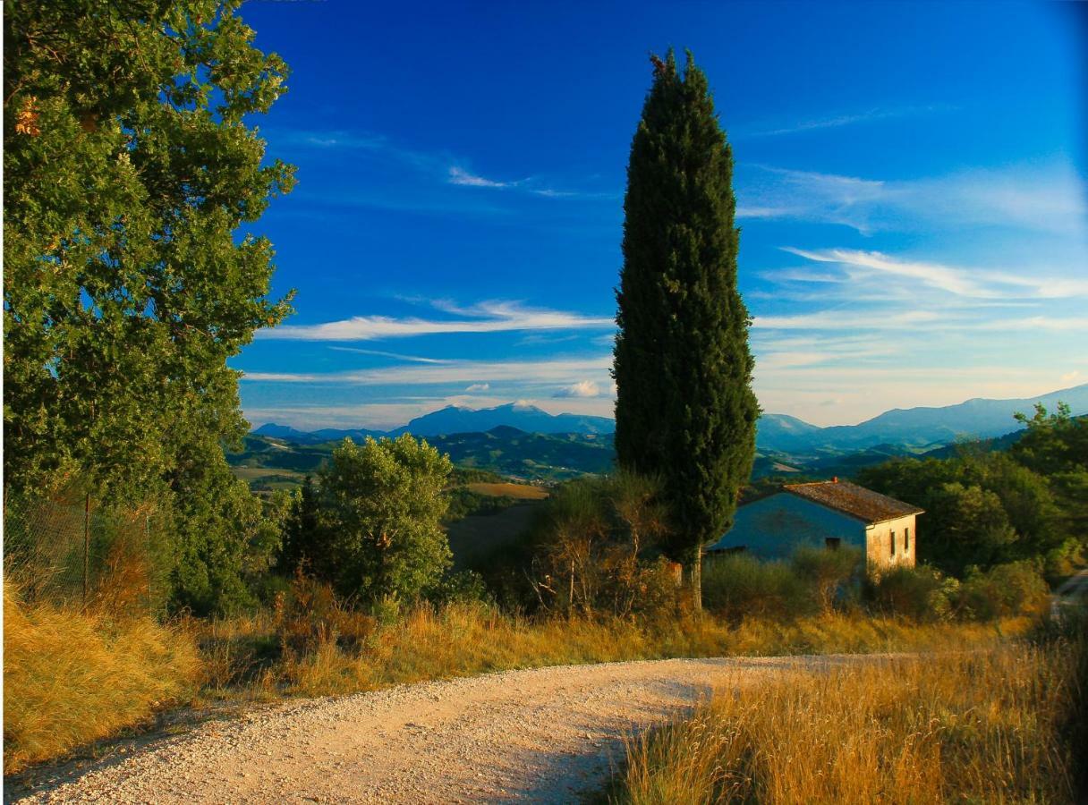 Ca'Lavalle B&B Urbino Eksteriør bilde